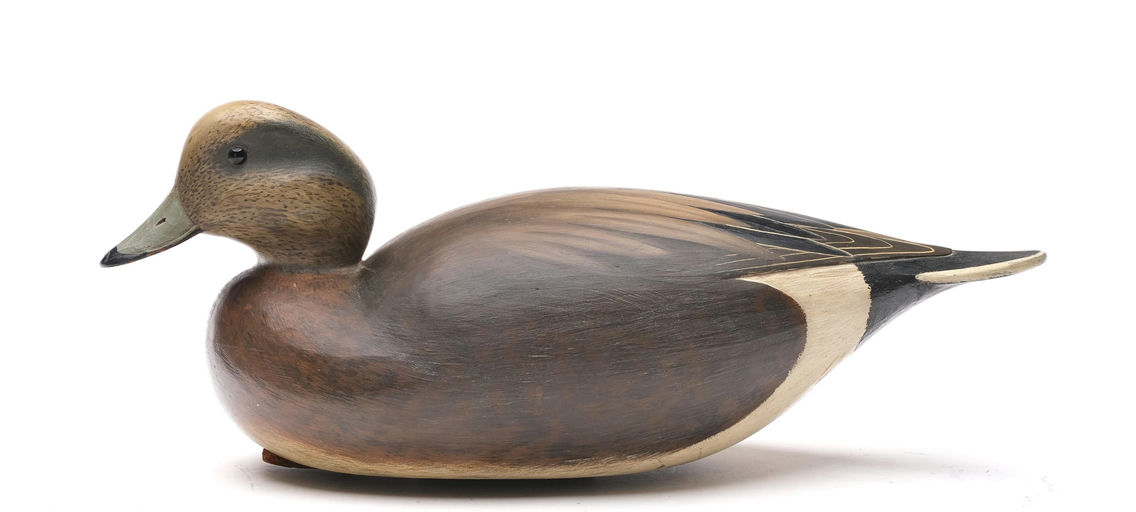 Bill Gibian – Wigeon – 2026