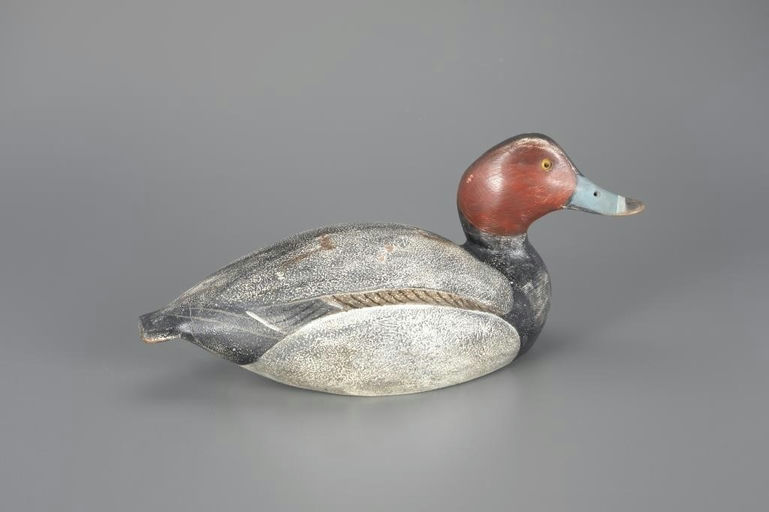 Ward Brothers – Redhead Drake – 2024