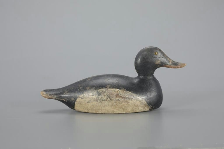 Evans Decoy Company – The Evans Ring-Necked Drake – 2023
