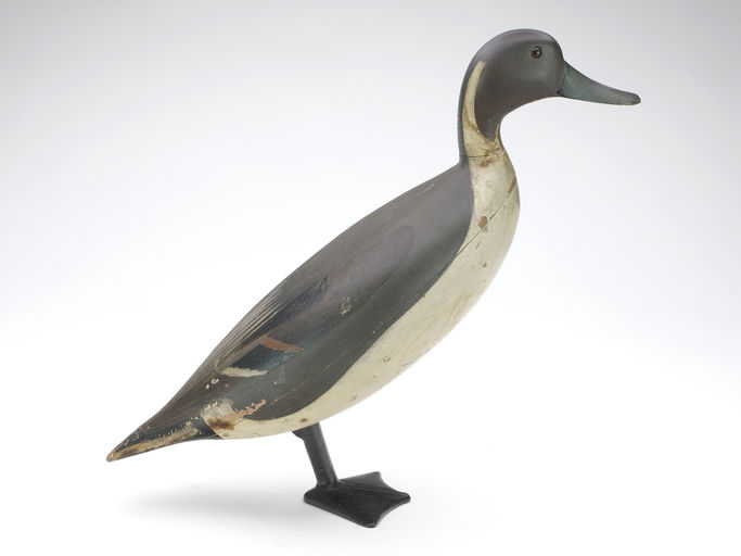 Charles Schoenheider, Sr. – Pintail – 2024