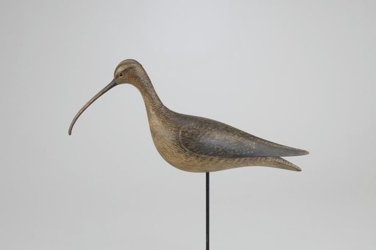 Mark McNair – Long-Billed Curlew #4 – 2026