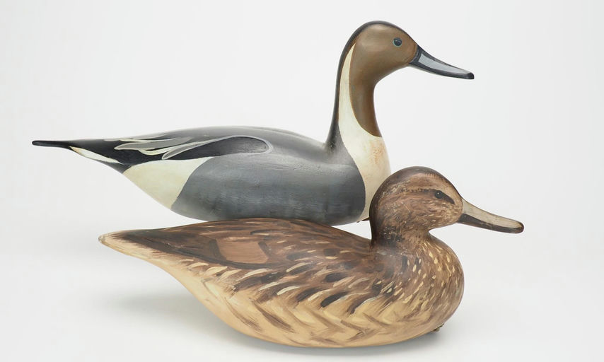 David Rhodes — Pintail Pair