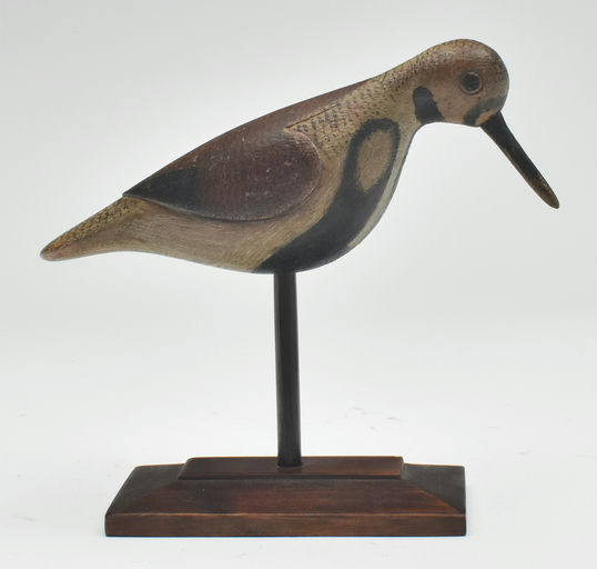 Mark McNair – Feeding Ruddy turnstone – 2023