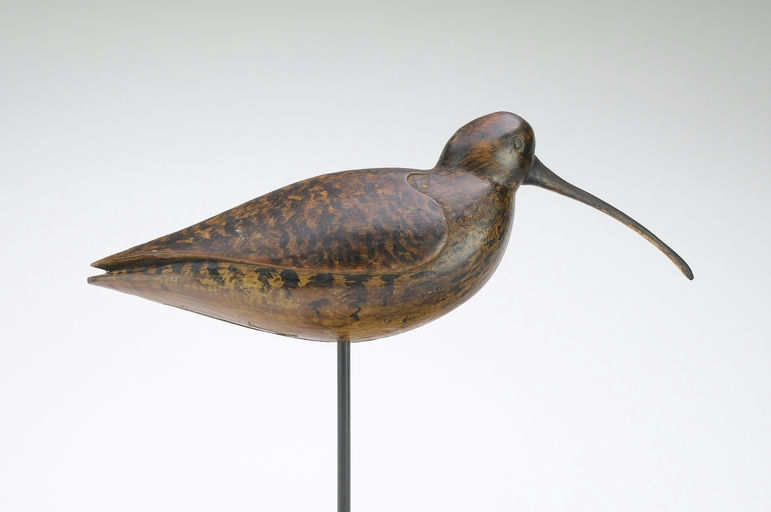 Mark McNair – Curlew – 2024