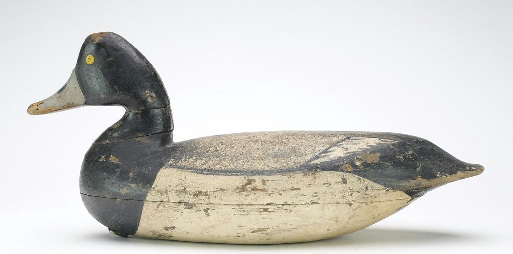 Charles Birch – Scaup – 2024