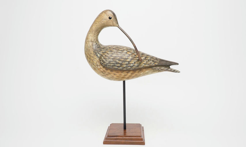 Ben A. Heinemann – Curlew – 2025