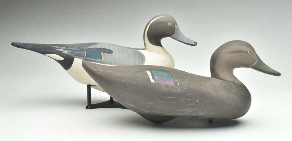 R. Madison Mitchell – Black Duck – 2023