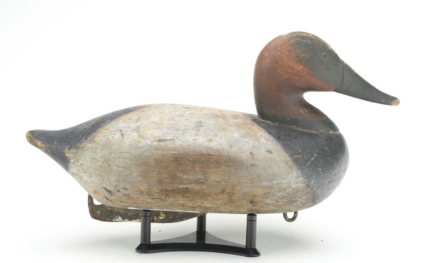 John Daddy Holly – Canvasback – 2024