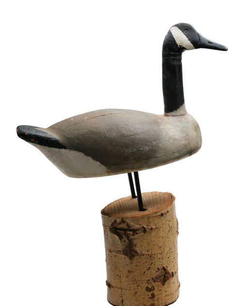 Frank Strey – Canada Goose – 2026