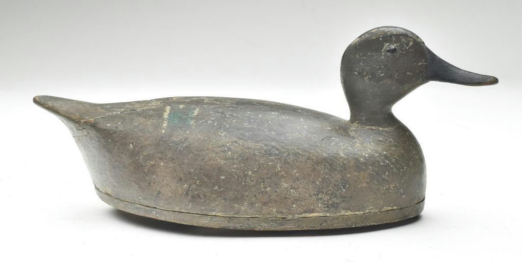 John R. Wells – Blue-winged Teal Hen – 2023