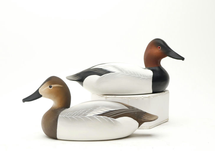 Charlie Joiner – Pair of Canvasback – 2026