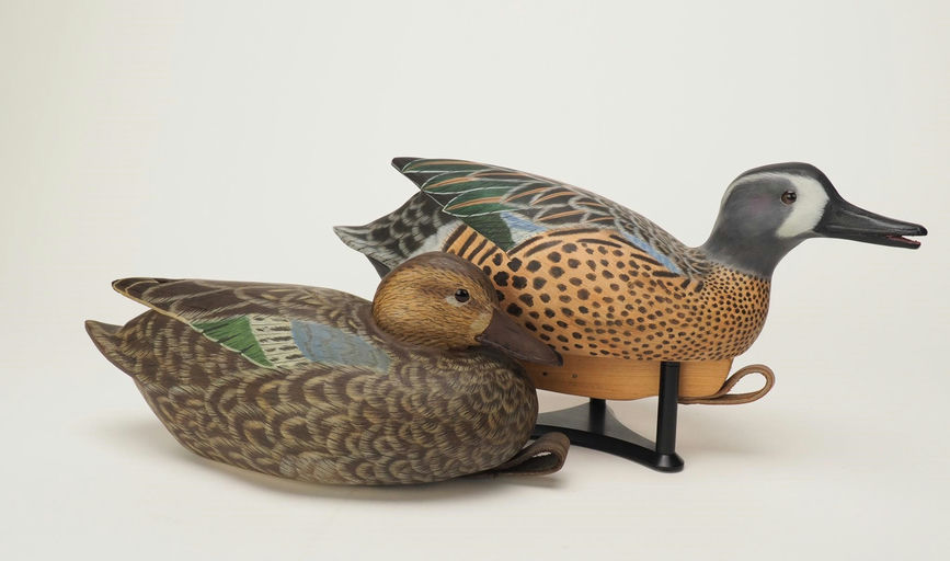 Jay May — Blue-winged Teal Pair