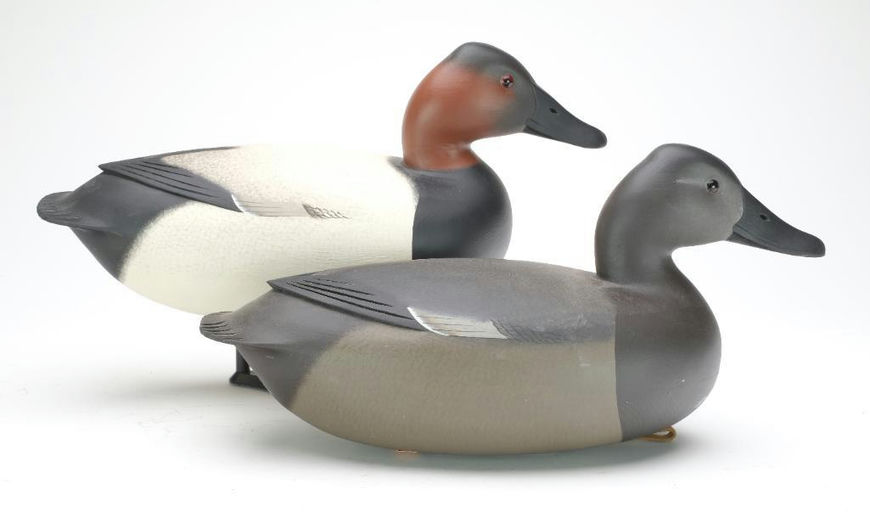 Rick Brown – Pair of Canvasback – 2023