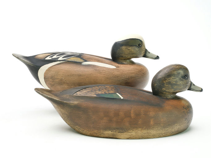 Ken Anger – Wigeon – 2025