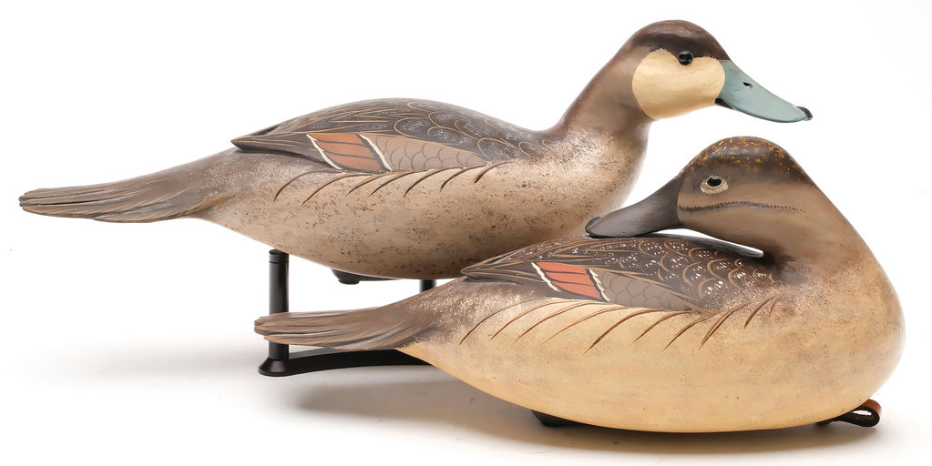 Bob White – Pair of Preening Ruddy Duck – 2026