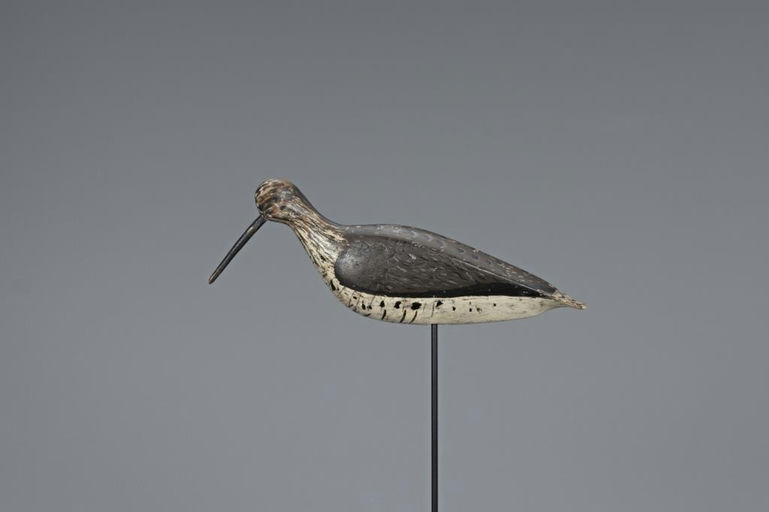 John Horn – Willet – 2019