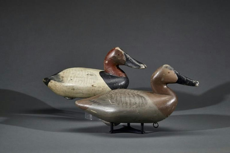 Samuel Yost – Canvasback Pair – 2017