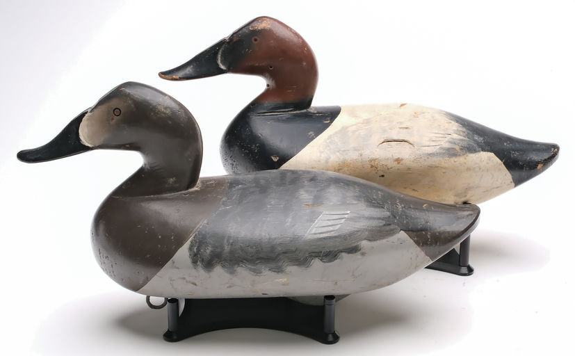 Charlie Joiner – Pair of Canvasback – 2026