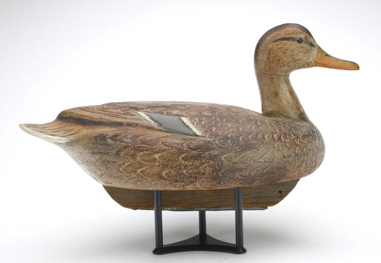 Ben Schmidt – Mallard Hen – 2026