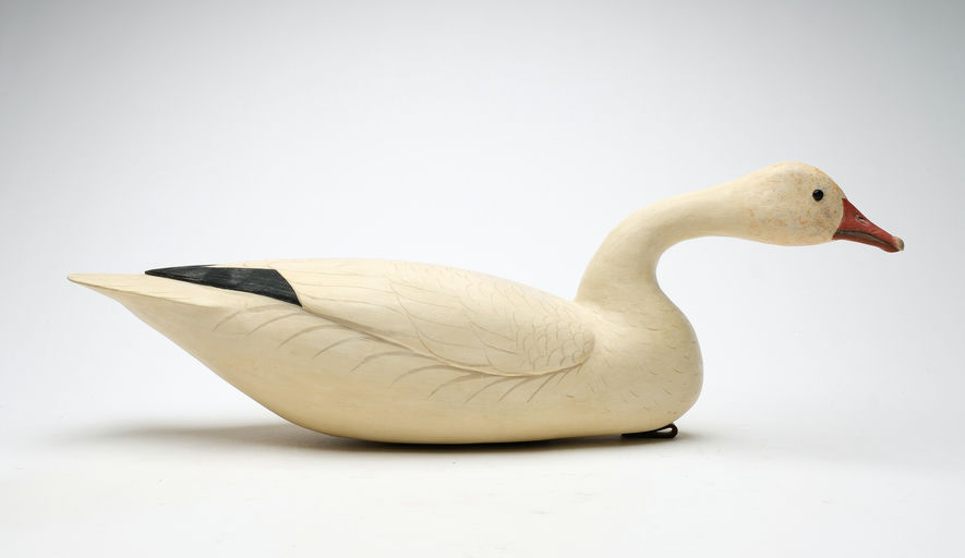 Bob White – Goose – 2026