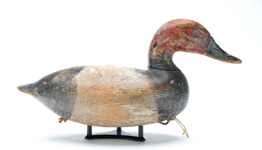 Ira Hudson – Canvasback – 2025