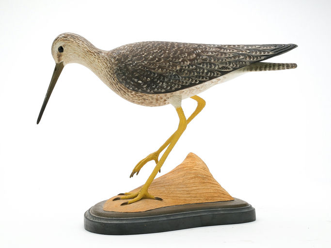 Frank Finney – Walking Greater Yellowlegs With Raised Wingtips and Relief – 2025