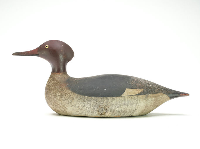 Joseph Lincoln – Hooded Merganser Hen – 2025