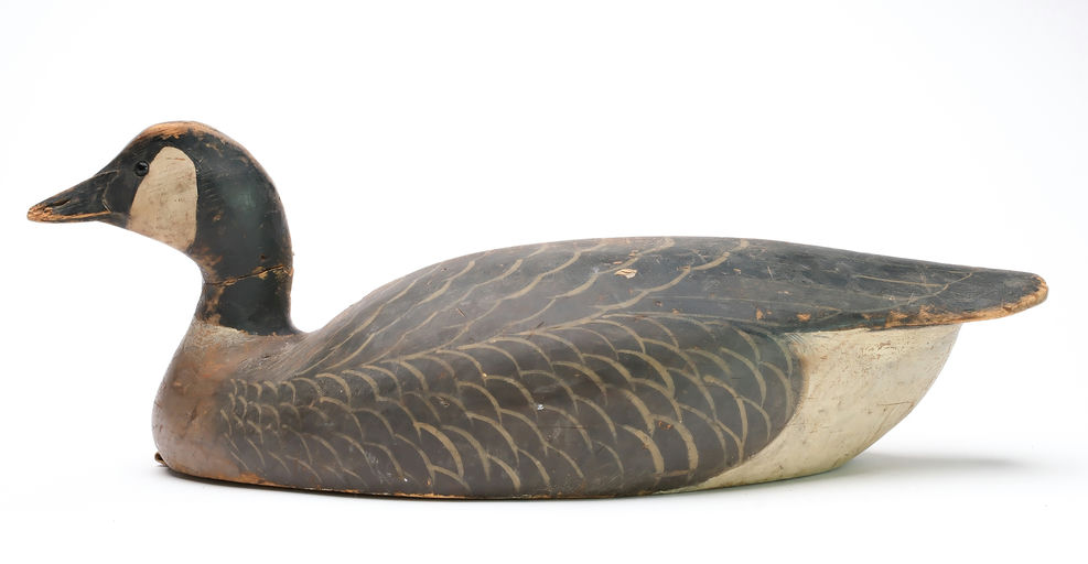 Ward Brothers – Canada goose – 2025