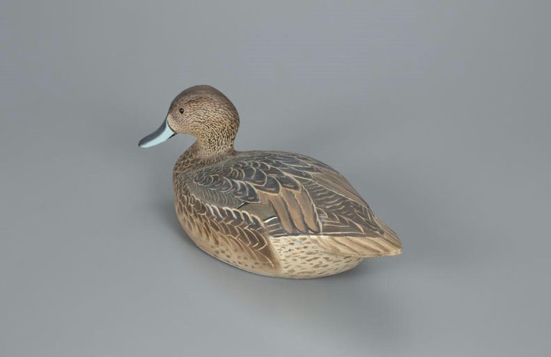 Ward Brothers – Pintail Hen – 2020