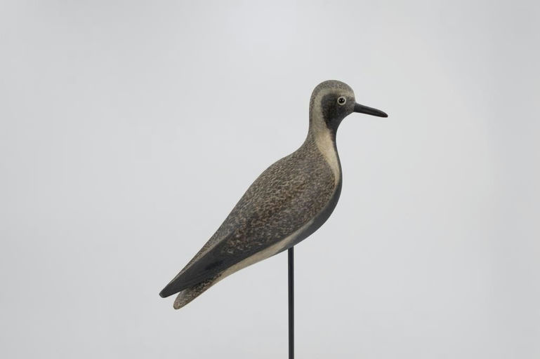 Mark McNair – Turned-Head Plover – 2026