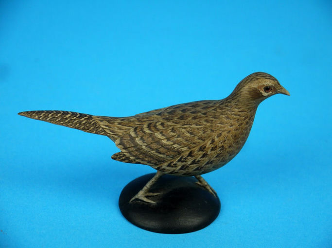 Eddie Wozny – Miniature Ring-Necked Pheasant Hen – 2026