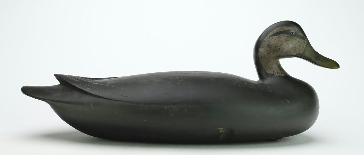 Jess Heisler – Black Duck – 2025