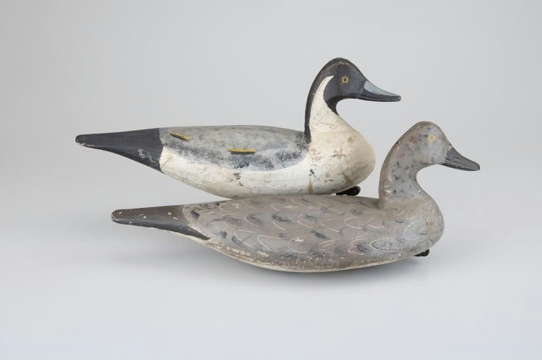 Doug Jester – Rare Pintail Pair – 2026