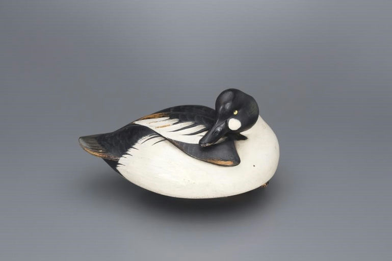 Jim Schmiedlin – Preening Goldeneye Drake – 2017