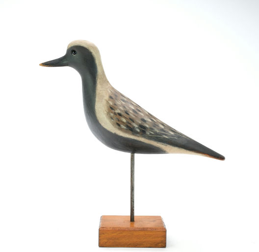 Pete Peterson – Black Bellied Plover – 2025