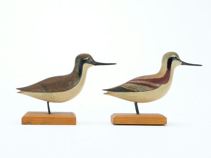 George Boyd – Phalarope – 2025