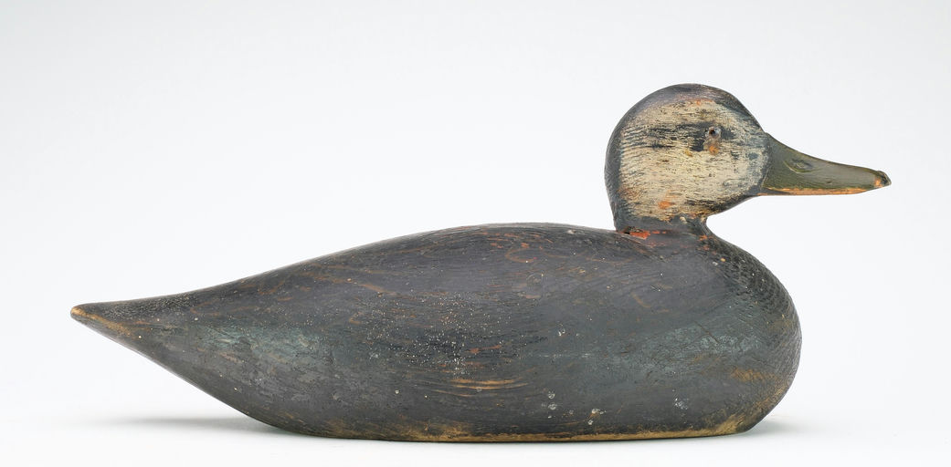 Elmer Crowell – Black Duck – 2024