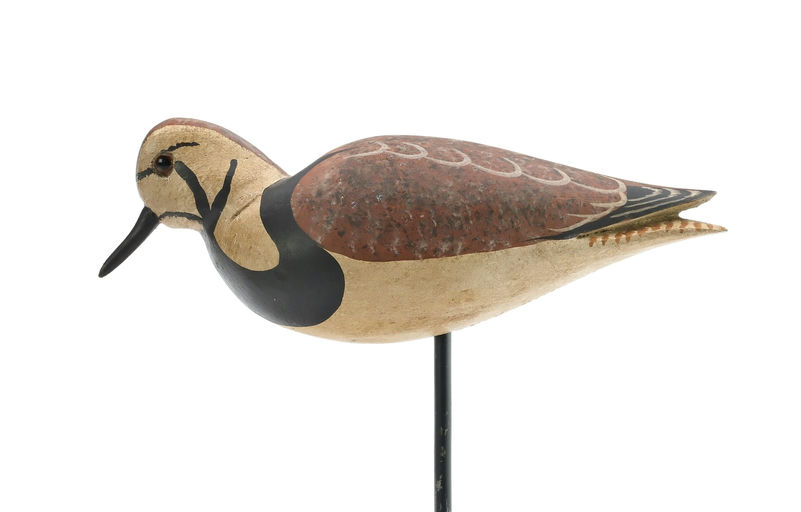 Harry V. Shourds – Ruddy Duck – 2025