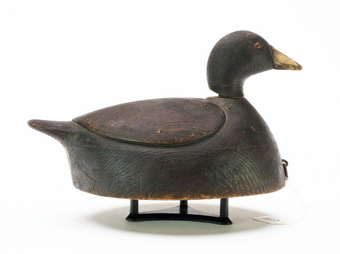 Mark McNair – Coot – 2025