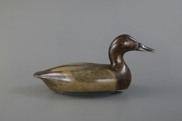 Bert Graves – Canvasback Hen – 2025