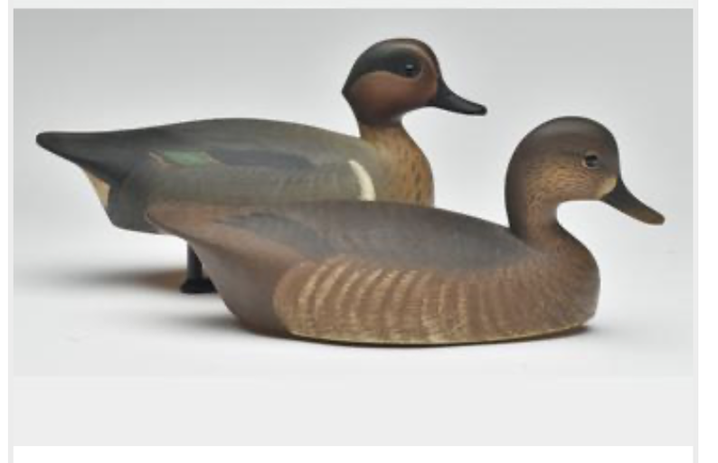 Marty Hanson – Green-winged Teal