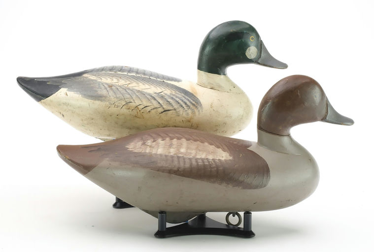 R. Madison Mitchell – Pair of Goldeneye – 2024