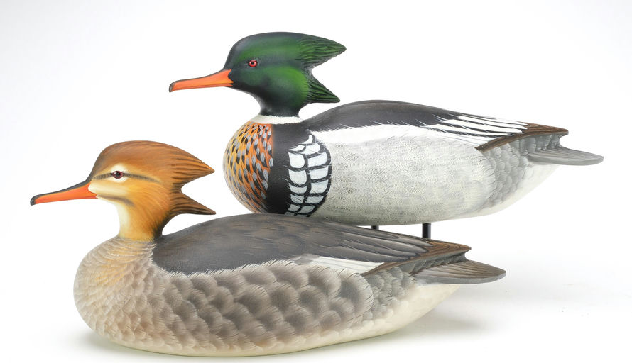 Ben A. Heinemann – Merganser – 2024
