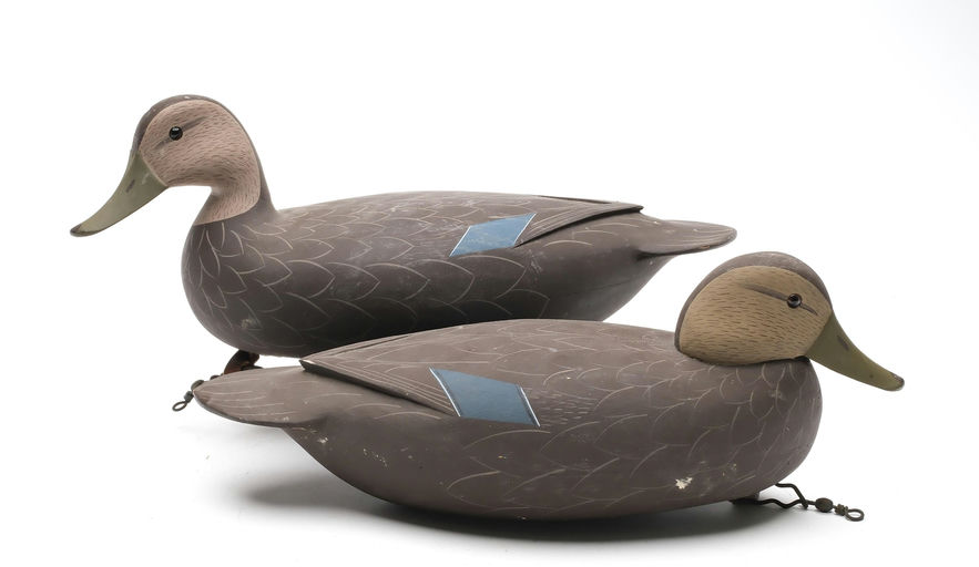 George Strunk – Pair of Black Duck – 2025
