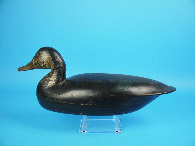Lloyd Parker – Black Duck – 2026