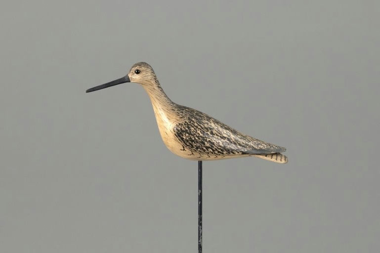 Bill Gibian – Miniature Yellowlegs – 2025
