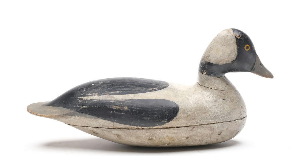 Harry V. Shourds – Bufflehead – 2026
