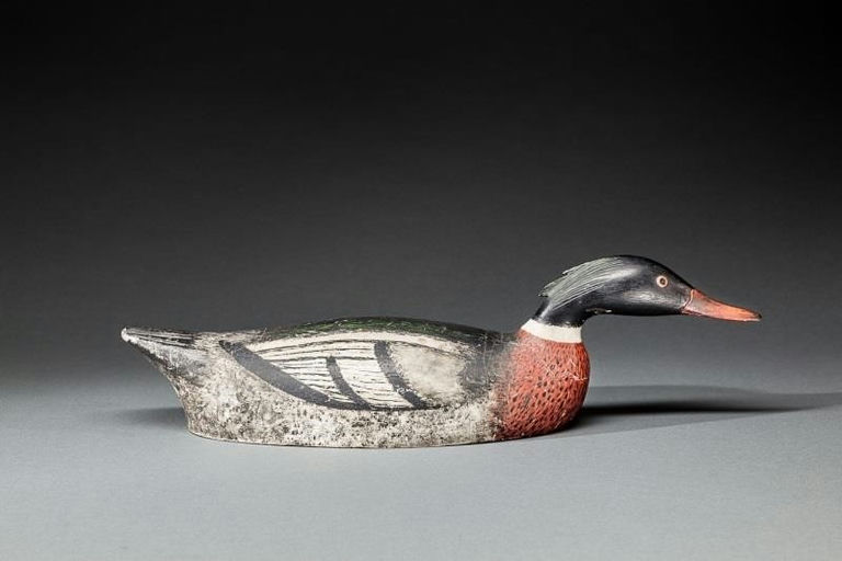 Daniel Tushenske – Swimming Merganser Drake – 2015