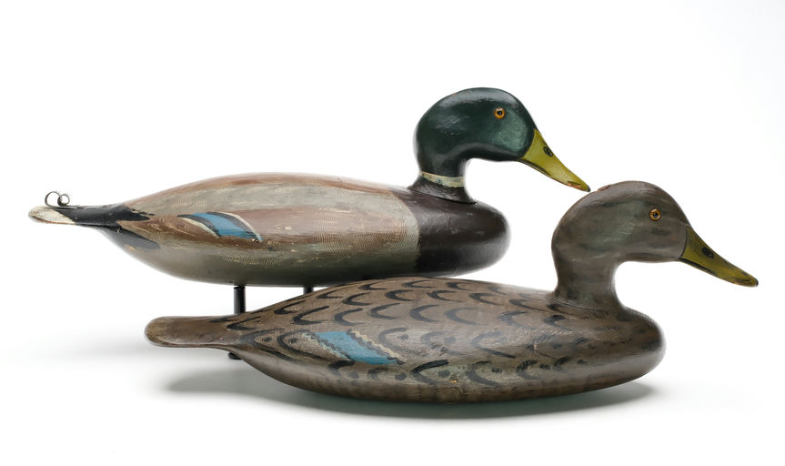 Harvey Stevens — Mallard