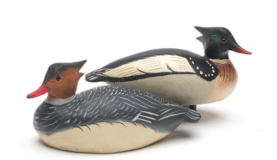 Ward Brothers – Pair of Miniature Red-breasted Merganser – 2026